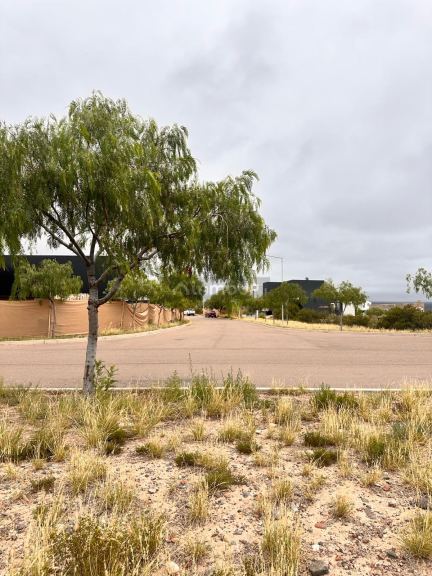 Terreno en Venta en Lujan de Cuyo, Mendoza