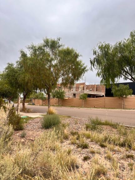 Terreno en Venta en Lujan de Cuyo, Mendoza