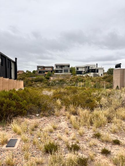 Terreno en Venta en Lujan de Cuyo, Mendoza