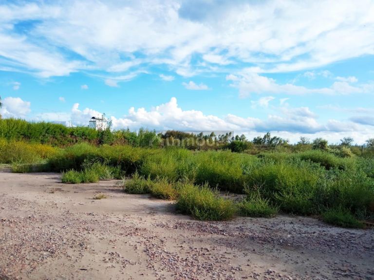 Terreno en Venta en Junin, Mendoza