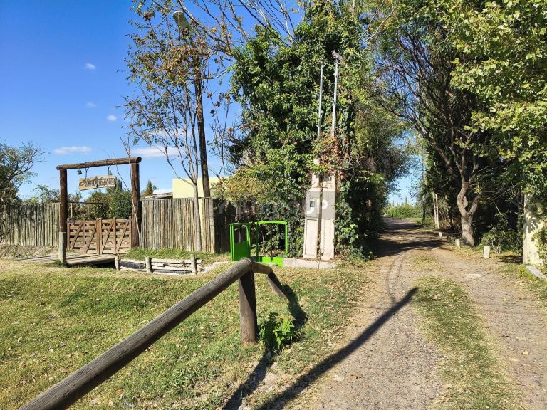 Terreno en Venta en Junin, Mendoza