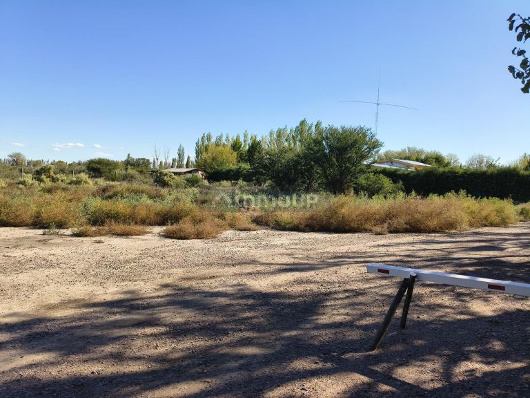 Terreno en Venta en Junin, Mendoza