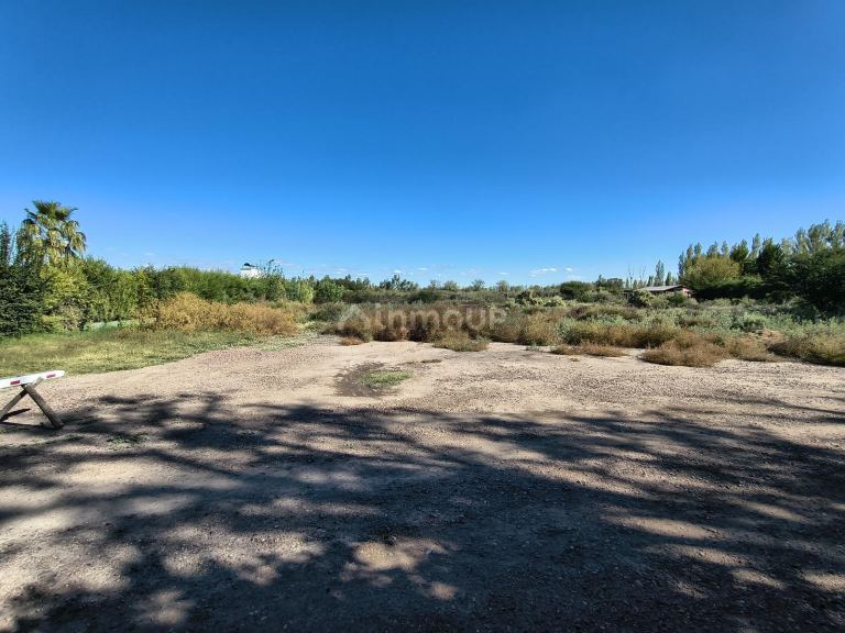 Terreno en Venta en Junin, Mendoza
