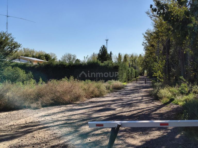 Terreno en Venta en Junin, Mendoza