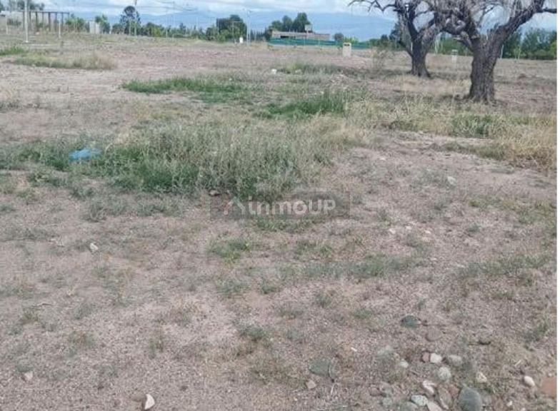 Terreno en Venta en Maipu, Mendoza