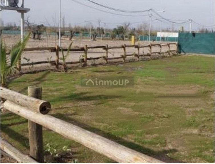 Terreno en Venta en Maipu, Mendoza
