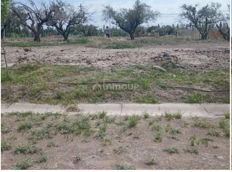 Terreno en Venta en Maipu, Mendoza