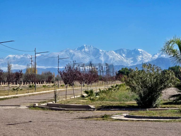 Terreno en Venta en Maipu, Mendoza