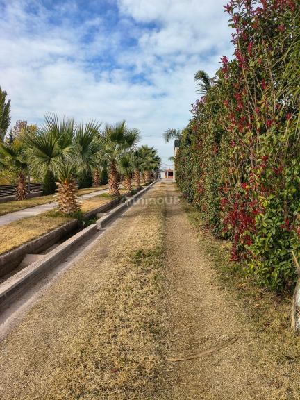 Terreno en Venta en Maipu, Mendoza