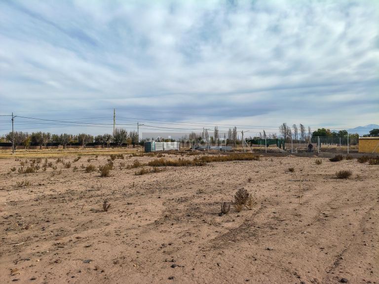 Terreno en Venta en Maipu, Mendoza