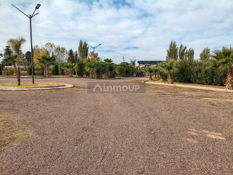 Terreno en Venta en Maipu, Mendoza