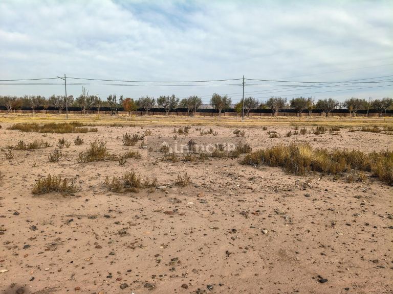 Terreno en Venta en Maipu, Mendoza