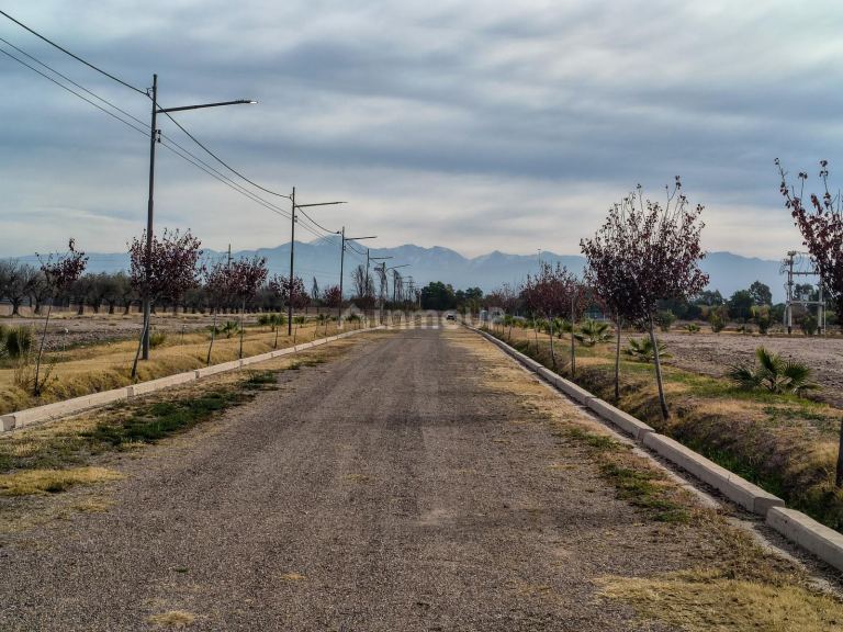 Terreno en Venta en Maipu, Mendoza