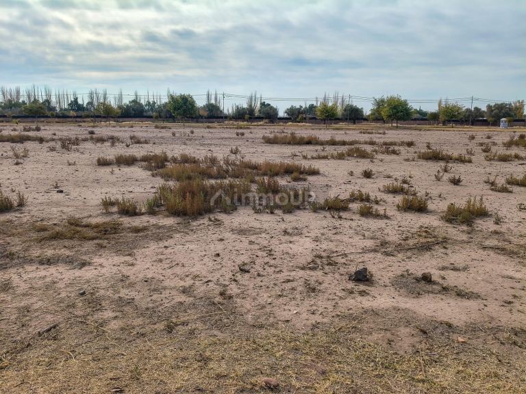 Terreno en Venta en Maipu, Mendoza
