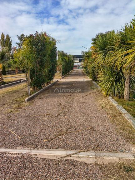 Terreno en Venta en Maipu, Mendoza