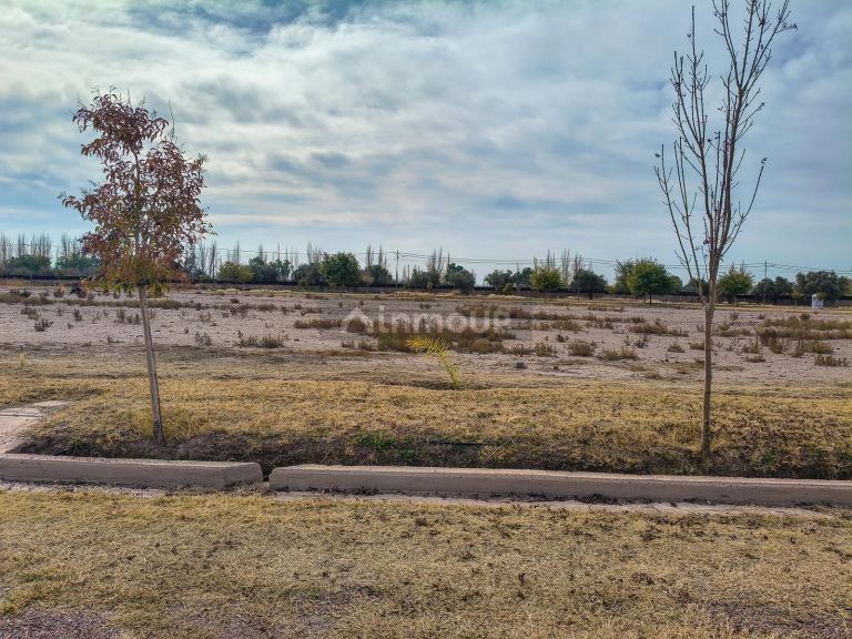 Terreno en Venta en Maipu, Mendoza