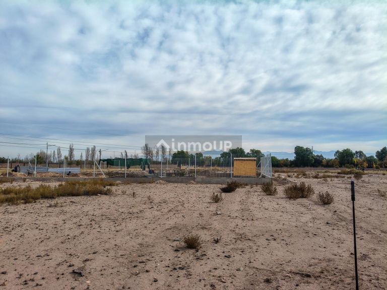 Terreno en Venta en Maipu, Mendoza