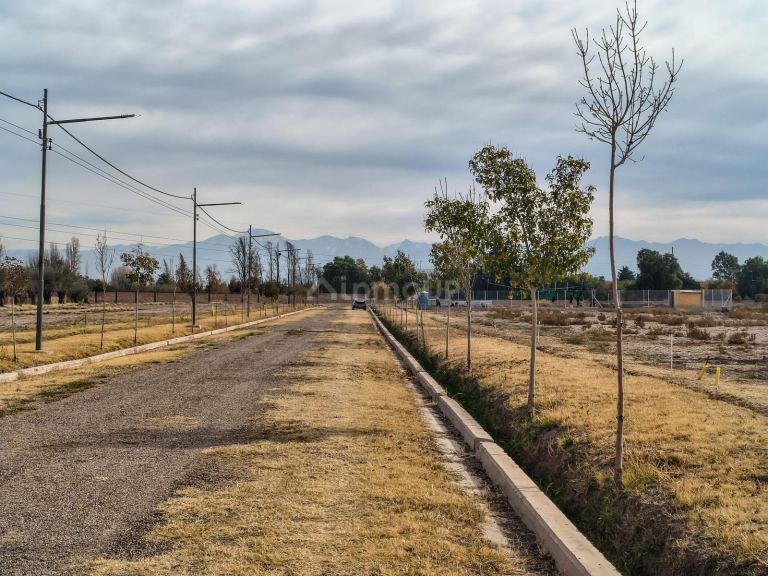 Terreno en Venta en Maipu, Mendoza