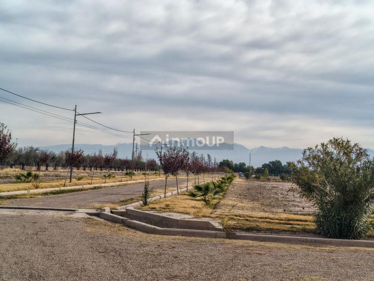 Terreno en Venta en Maipu, Mendoza