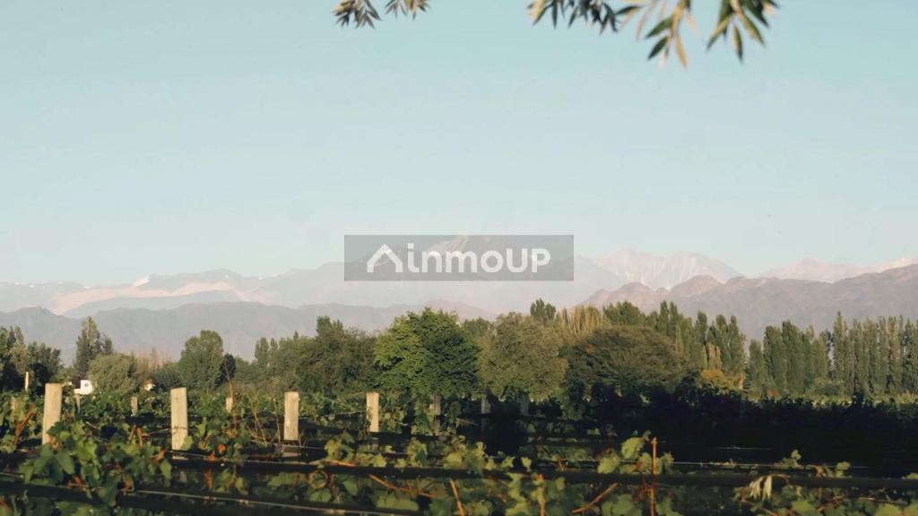 Terreno en Venta en Lujan de Cuyo, Mendoza