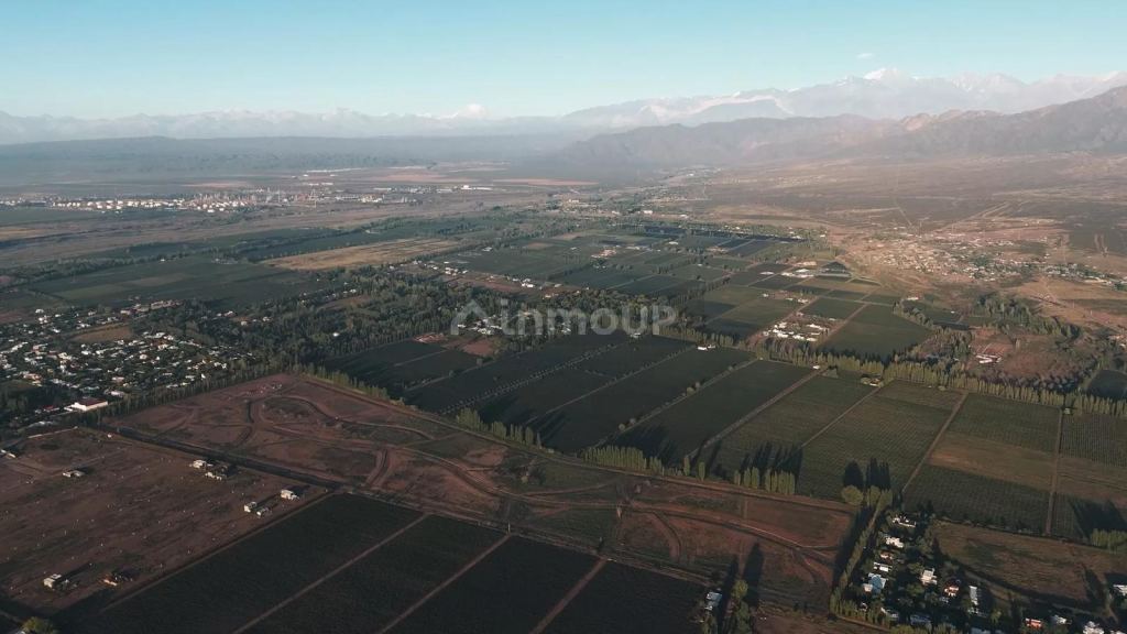 Terreno en Venta en Lujan de Cuyo, Mendoza