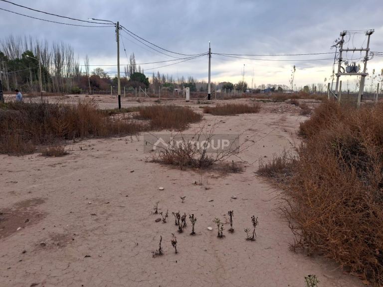 Terreno en Venta en Lujan de Cuyo, Mendoza