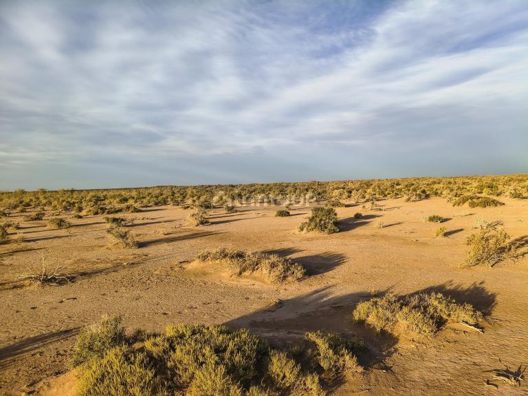 Campo en Venta en Lavalle, Mendoza