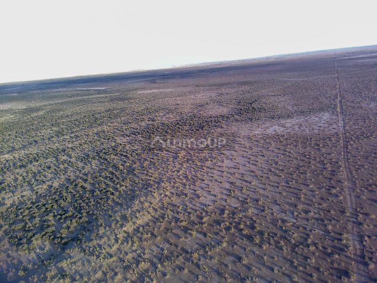 Campo en Venta en Lavalle, Mendoza