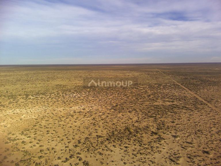 Campo en Venta en Lavalle, Mendoza