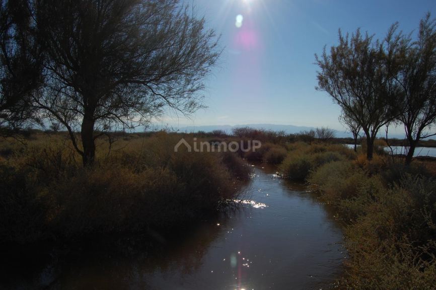 Campo en Venta en Lavalle, Mendoza
