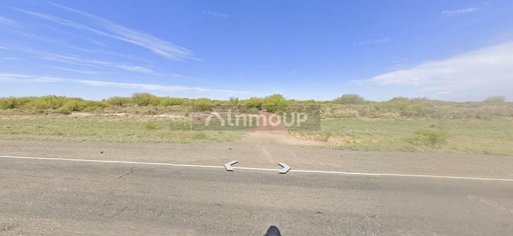 Campo en Venta en Lavalle, Mendoza