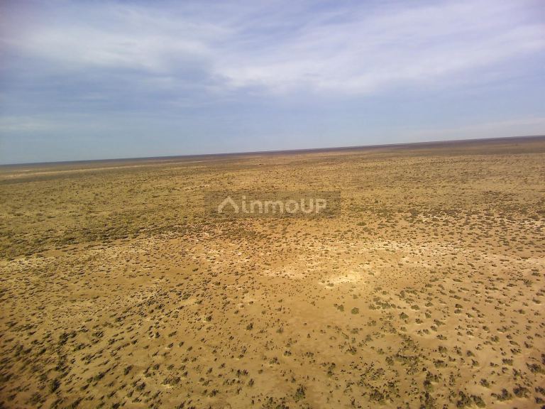 Campo en Venta en Lavalle, Mendoza