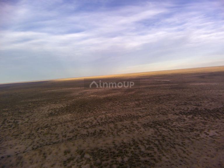 Campo en Venta en Lavalle, Mendoza