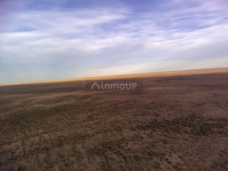 Campo en Venta en Lavalle, Mendoza