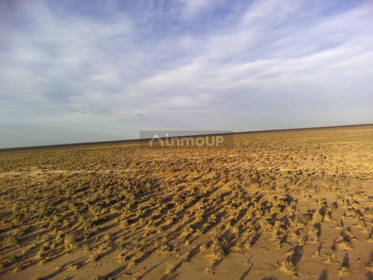 Campo en Venta en Lavalle, Mendoza
