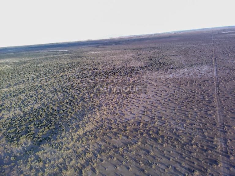 Campo en Venta en Lavalle, Mendoza