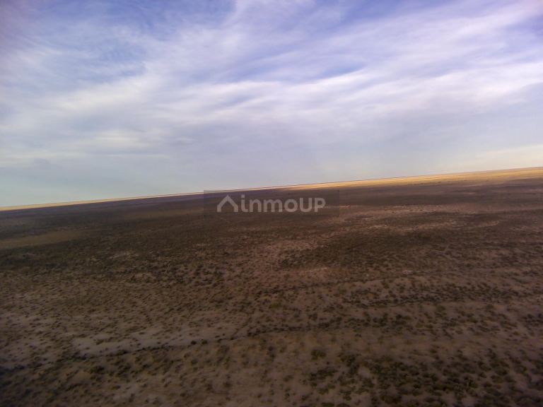 Campo en Venta en Lavalle, Mendoza