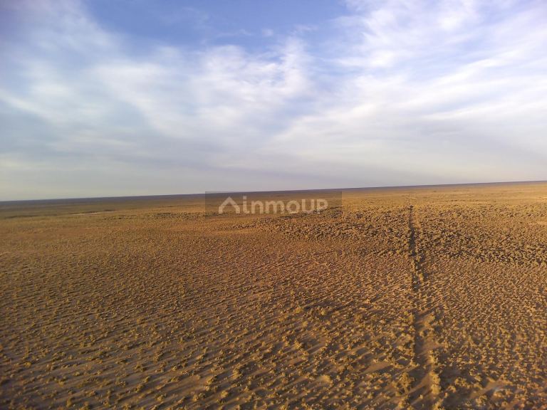 Campo en Venta en Lavalle, Mendoza