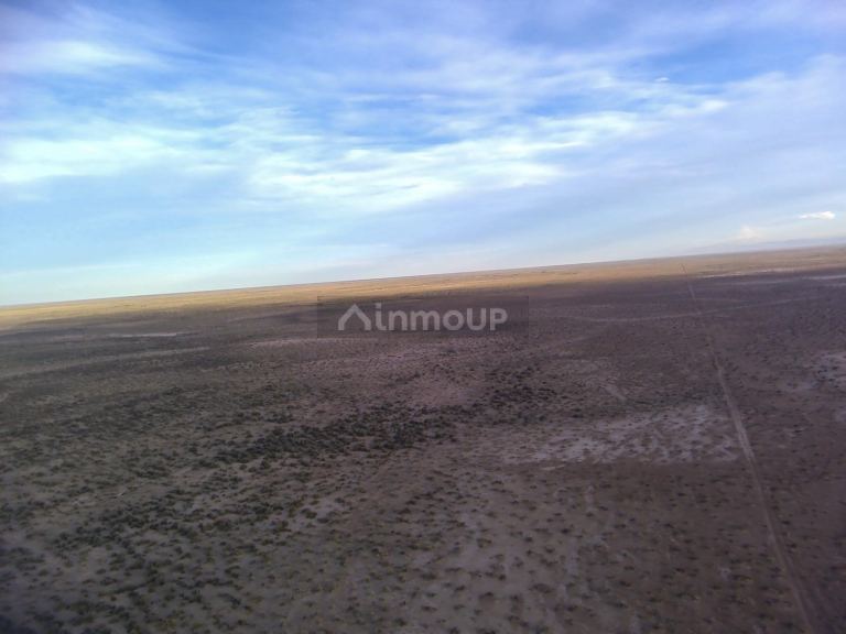 Campo en Venta en Lavalle, Mendoza