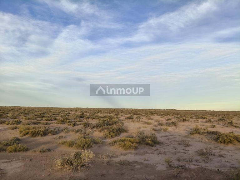 Campo en Venta en Lavalle, Mendoza