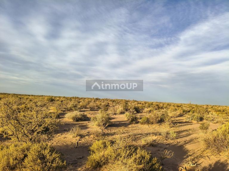 Campo en Venta en Lavalle, Mendoza
