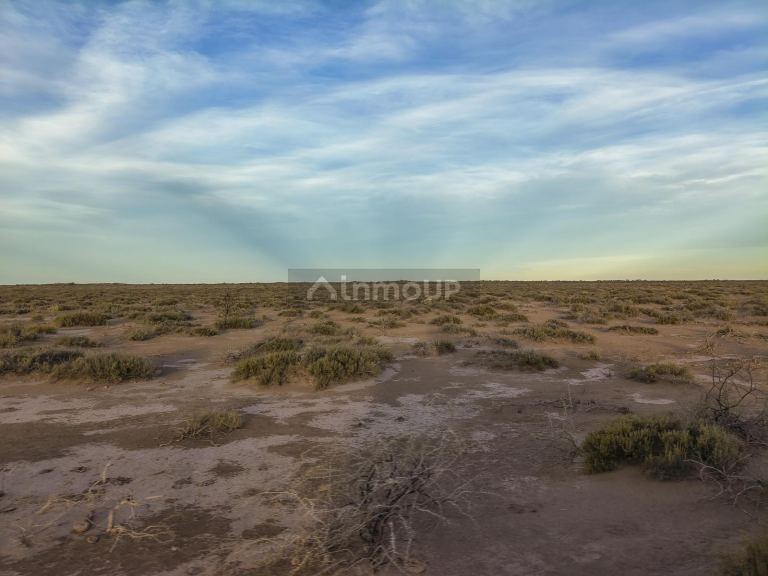 Campo en Venta en Lavalle, Mendoza