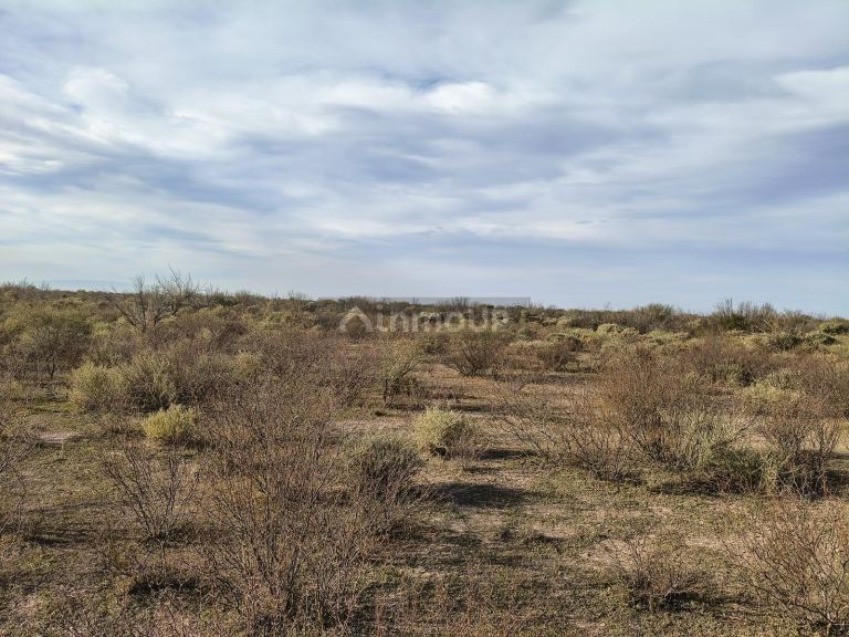Campo en Venta en Lavalle, Mendoza