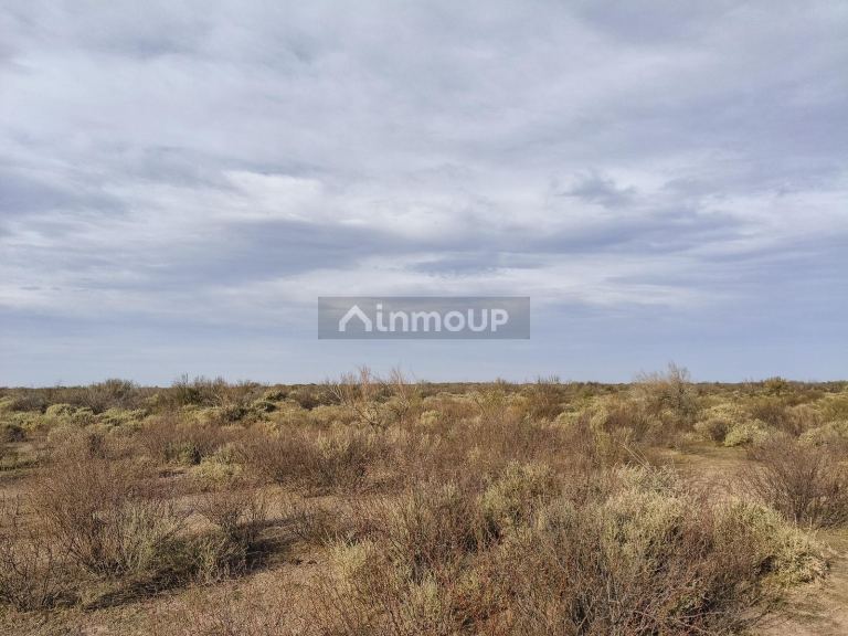 Campo en Venta en Lavalle, Mendoza