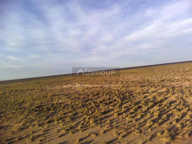 Campo en Venta en Lavalle, Mendoza