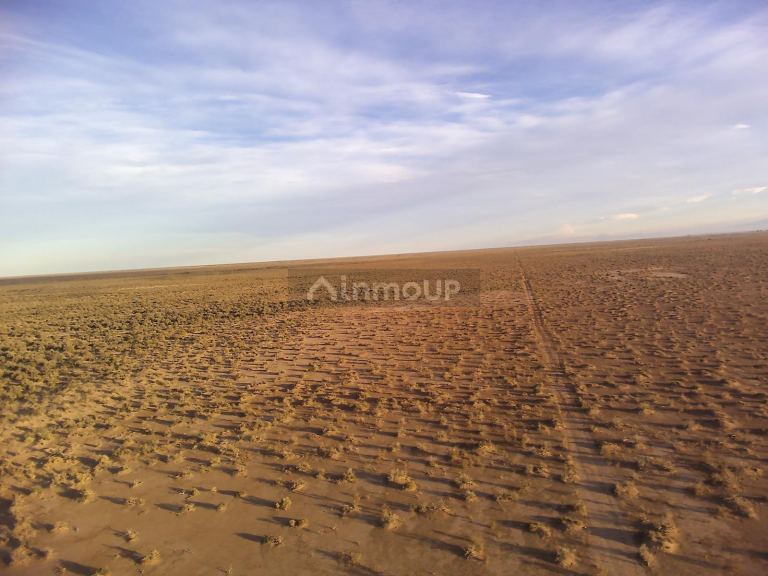 Campo en Venta en Lavalle, Mendoza