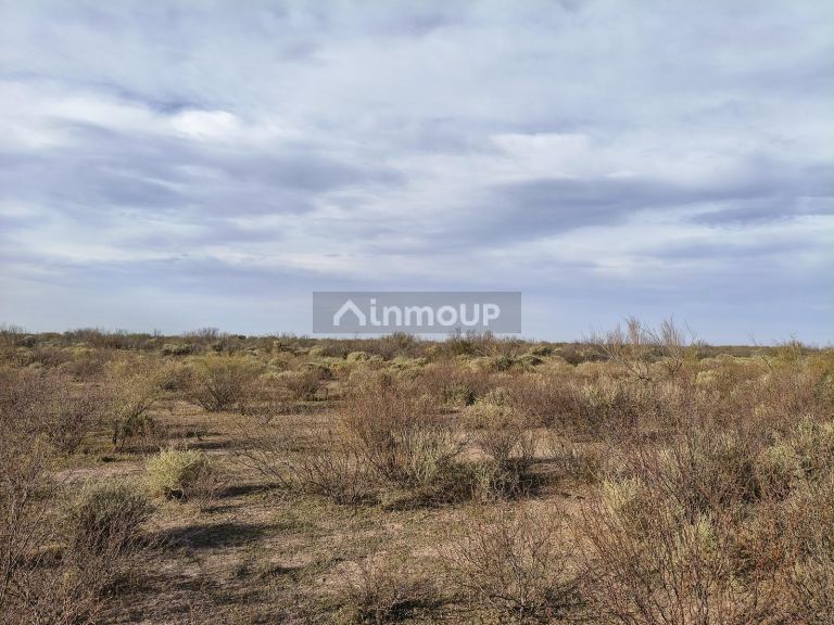 Campo en Venta en Lavalle, Mendoza