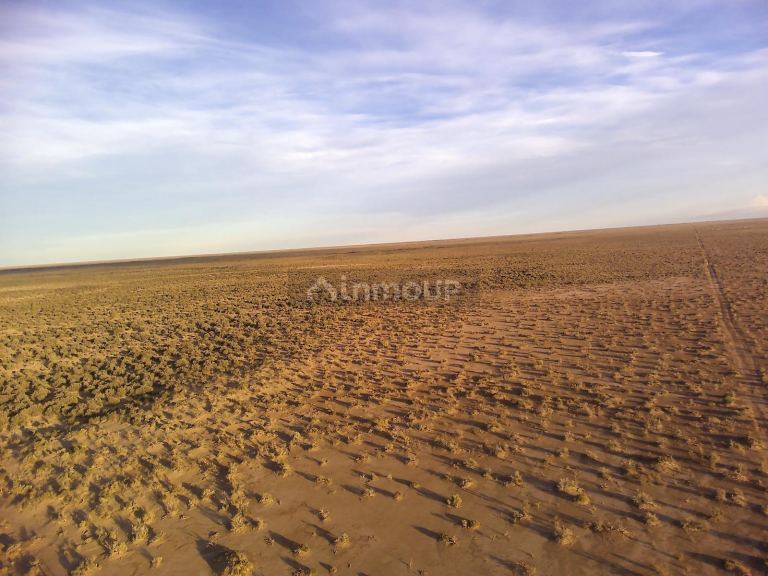 Campo en Venta en Lavalle, Mendoza