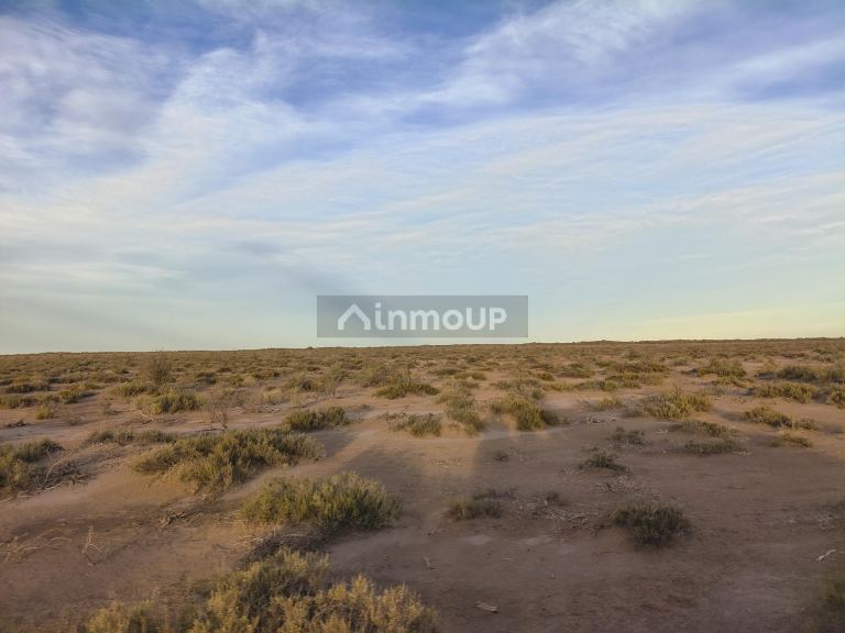 Campo en Venta en Lavalle, Mendoza