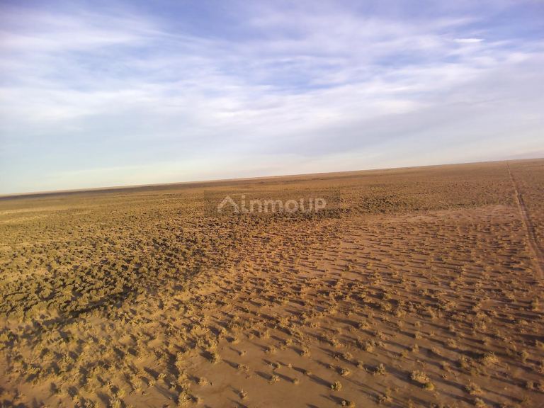 Campo en Venta en Lavalle, Mendoza
